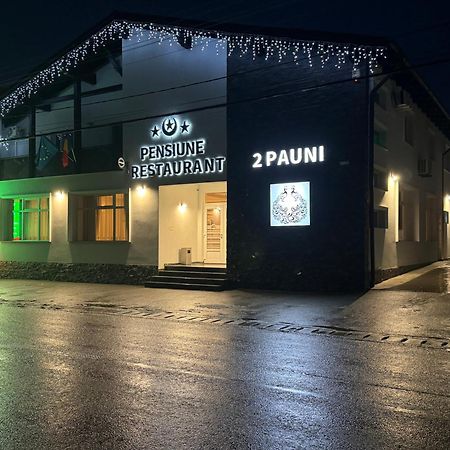 Pensiune Restaurant Pizzerie 2 Pauni Borşa Exteriör bild